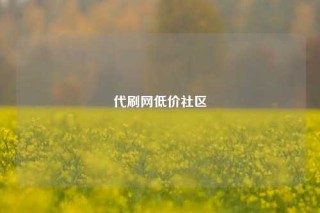 代刷网低价社区