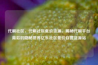 代刷社区，代刷社区低价货源，揭秘代刷平台背后的隐秘世界亿乐社区低价自营货源站