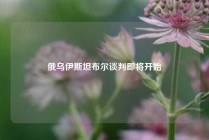 俄乌伊斯坦布尔谈判即将开始