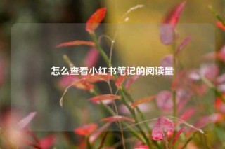 怎么查看小红书笔记的阅读量