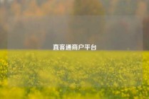 直客通商户平台