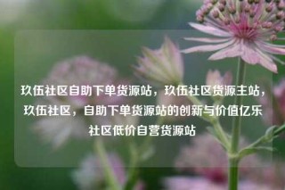 玖伍社区自助下单货源站，玖伍社区货源主站，玖伍社区，自助下单货源站的创新与价值亿乐社区低价自营货源站