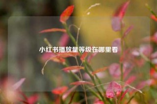 小红书播放量等级在哪里看