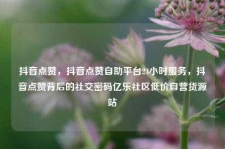 抖音点赞，抖音点赞自助平台24小时服务，抖音点赞背后的社交密码亿乐社区低价自营货源站