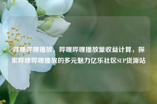 哔哩哔哩播放	，哔哩哔哩播放量收益计算，探索哔哩哔哩播放的多元魅力亿乐社区SUP货源站  第1张