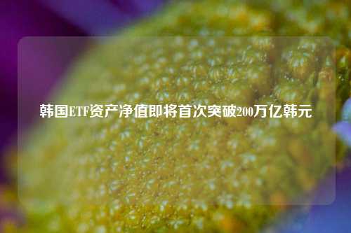 韩国ETF资产净值即将首次突破200万亿韩元  第1张