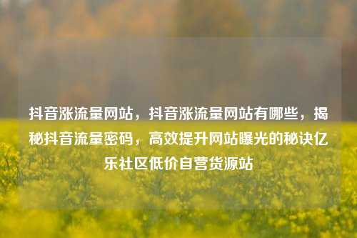 抖音涨流量网站	，抖音涨流量网站有哪些，揭秘抖音流量密码，高效提升网站曝光的秘诀亿乐社区低价自营货源站  第1张