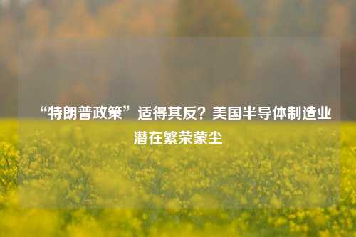 “特朗普政策”适得其反？美国半导体制造业潜在繁荣蒙尘  第1张