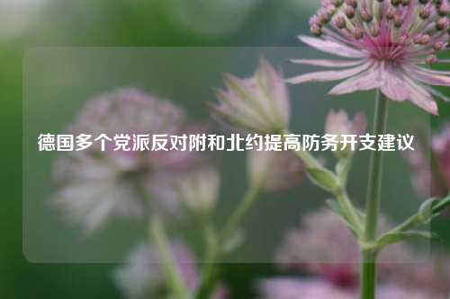 德国多个党派反对附和北约提高防务开支建议  第1张