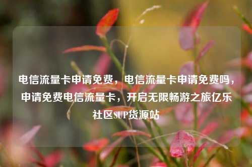 电信流量卡申请免费，电信流量卡申请免费吗，申请免费电信流量卡，开启无限畅游之旅亿乐社区SUP货源站  第1张