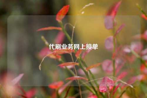 代刷业务网上接单  第1张
