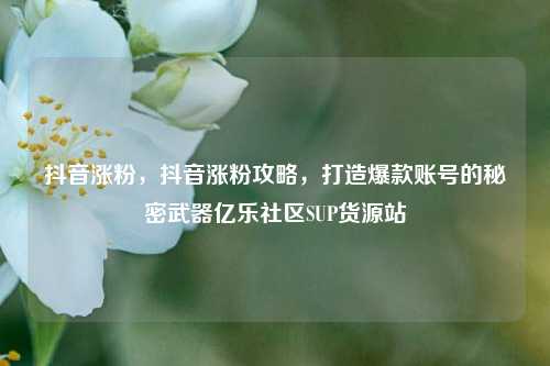 抖音涨粉，抖音涨粉攻略，打造爆款账号的秘密武器亿乐社区SUP货源站  第1张