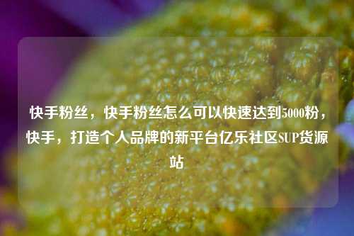 快手粉丝	，快手粉丝怎么可以快速达到5000粉，快手，打造个人品牌的新平台亿乐社区SUP货源站  第1张
