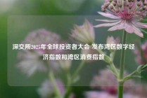 深交所2025年全球投资者大会 发布湾区数字经济指数和湾区消费指数
