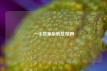 一手货源采购批发网