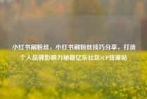 小红书刷粉丝，小红书刷粉丝技巧分享，打造个人品牌影响力秘籍亿乐社区SUP货源站