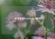 华为发布WATCH FIT 4系列