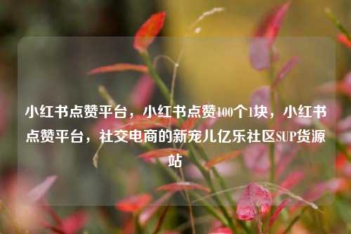 小红书点赞平台	，小红书点赞100个1块，小红书点赞平台，社交电商的新宠儿亿乐社区SUP货源站  第1张